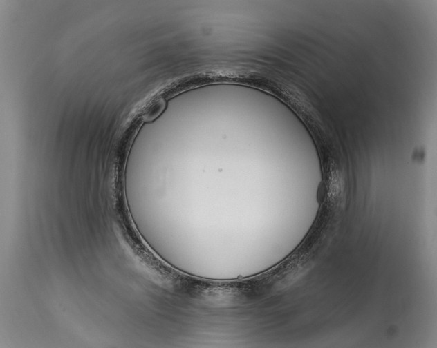 X0000115000444200911091401
