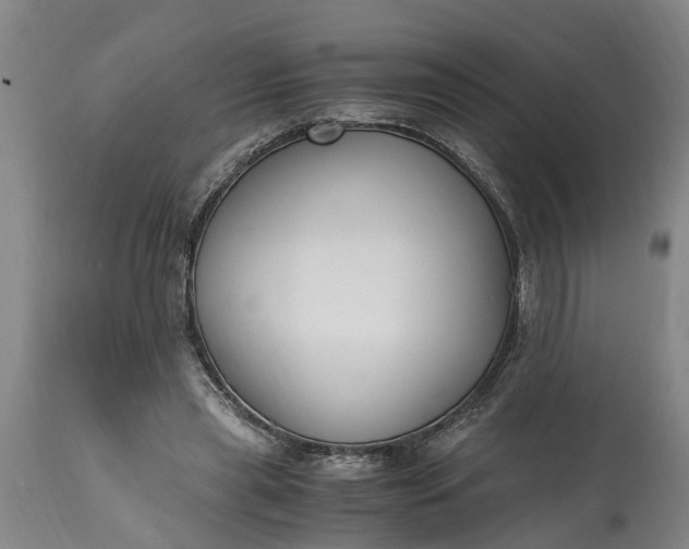 X0000115000445200911091401