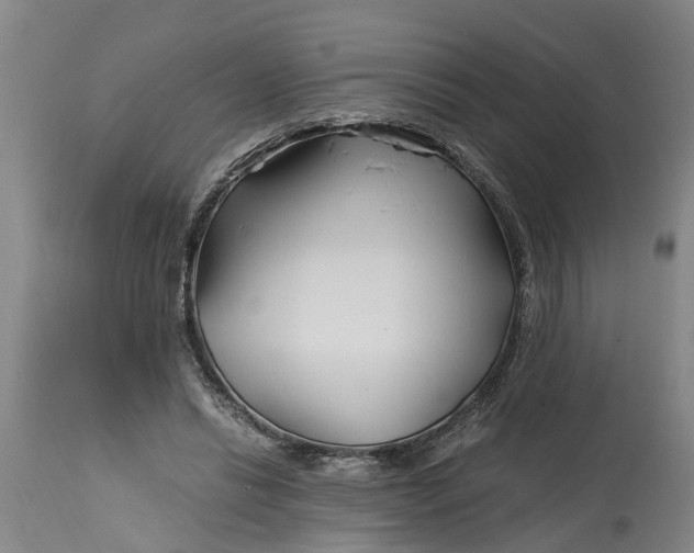 X0000115000446200911091401