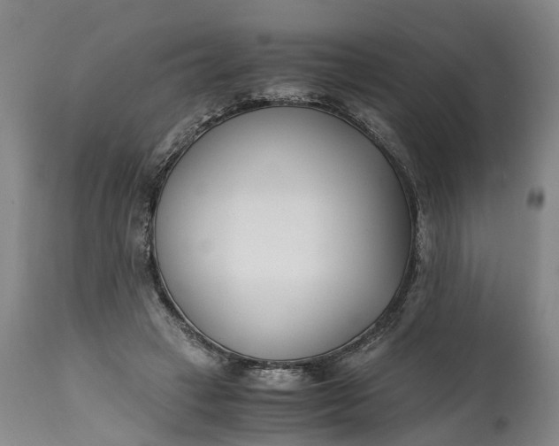 X0000115000449200911091401