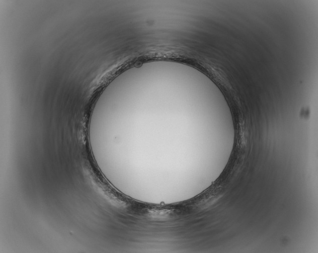 X0000115000450200911091402