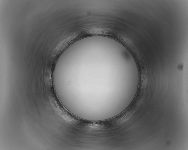 X0000115000453200911091402