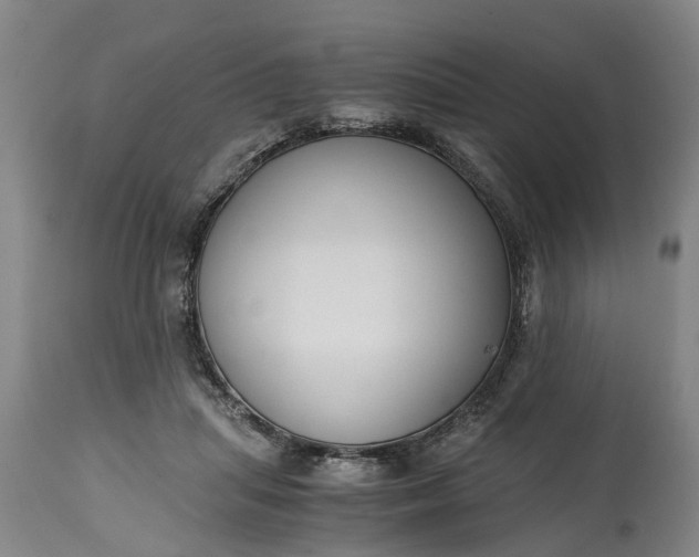 X0000115000455200911091402