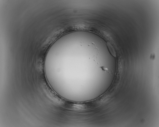 X0000115000457200911091402