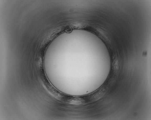 X0000115000459200911091402