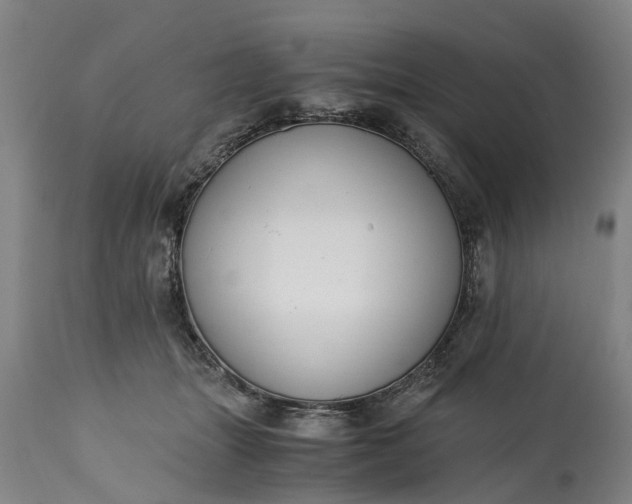 X0000115000463200911091402