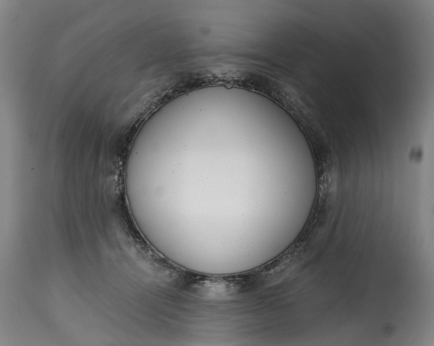 X0000115000464200911091402