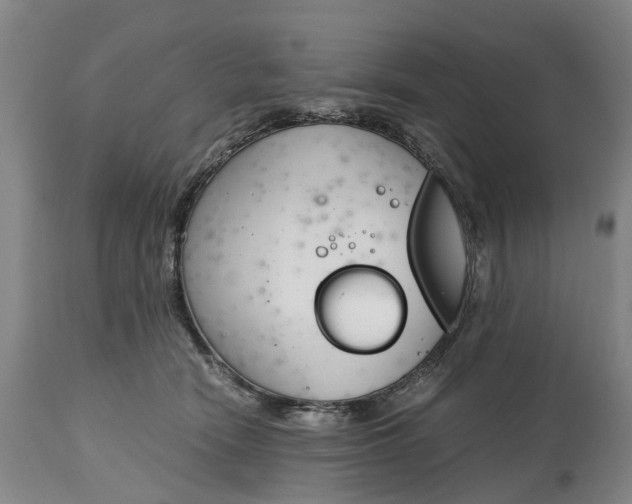 X0000115000466200911091402