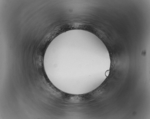 X0000115000470200911091402