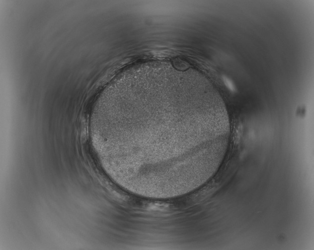 X0000115000471200911091402