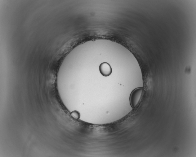 X0000115000472200911091402