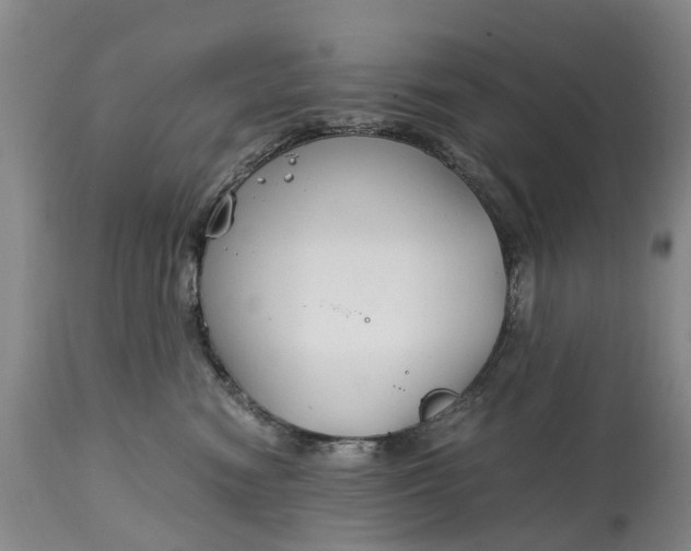 X0000115000474200911091402