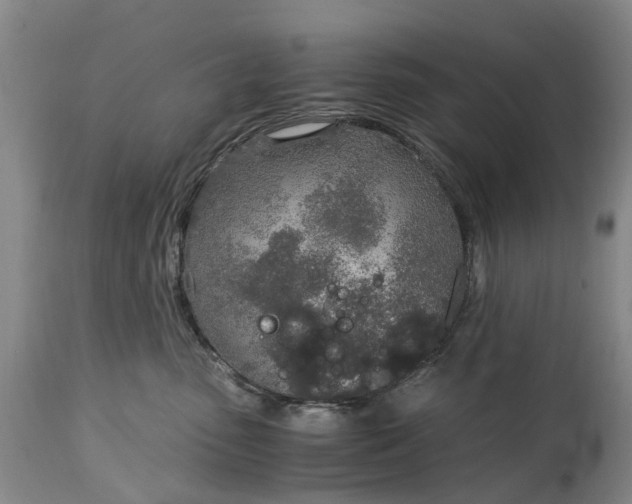 X0000115000475200911091402