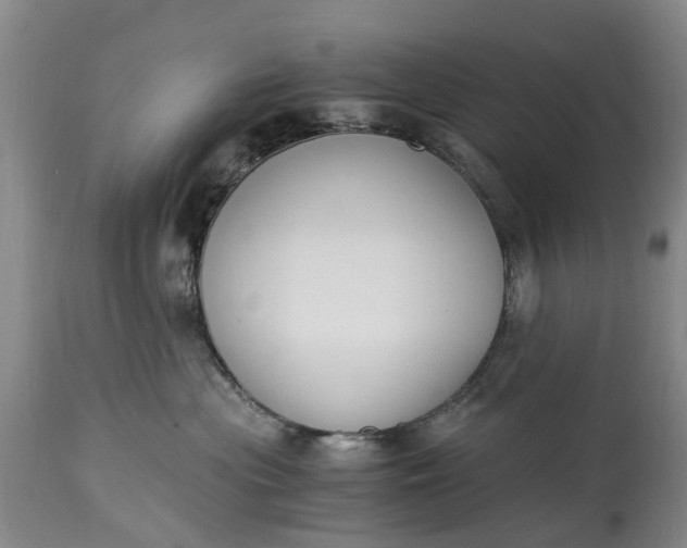 X0000115000477200911091402