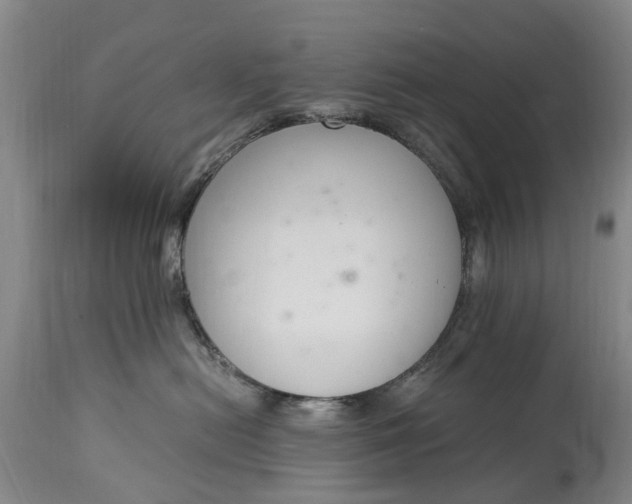 X0000115000478200911091402