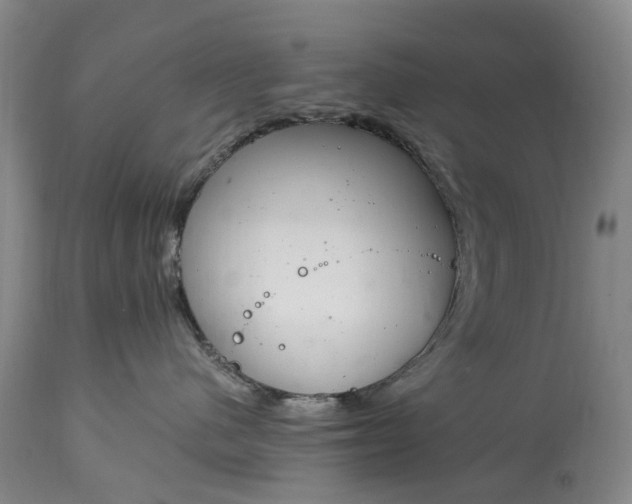 X0000115000480200911091402