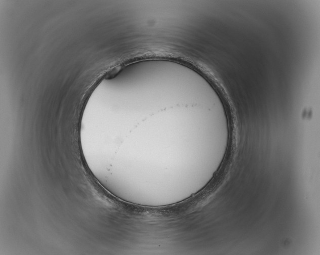 X0000115000481200911091401
