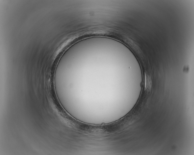 X0000115000483200911091401