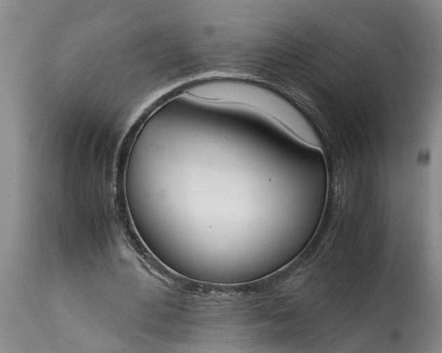 X0000115000484200911091401