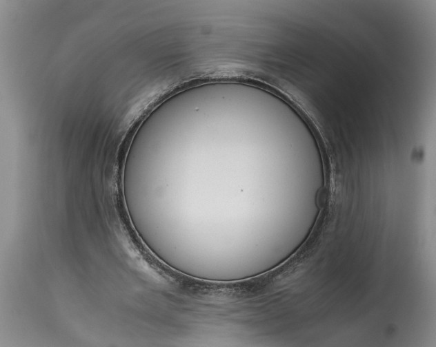 X0000115000485200911091401