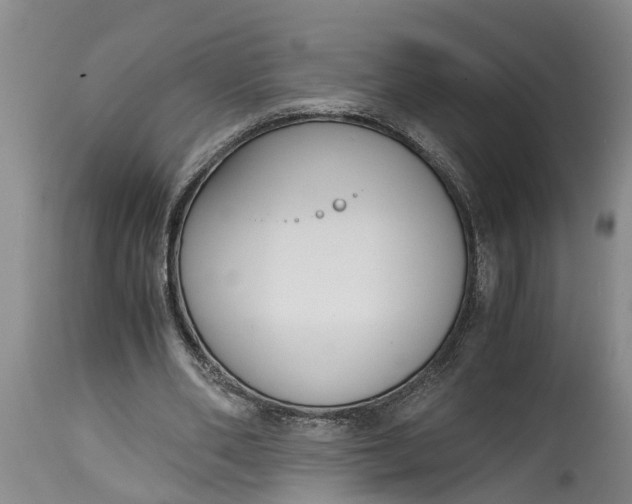 X0000115000486200911091401