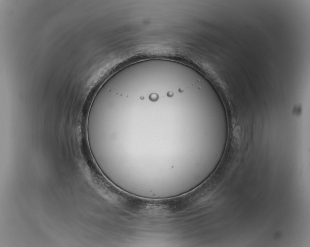 X0000115000487200911091401