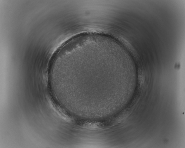 X0000115000488200911091401