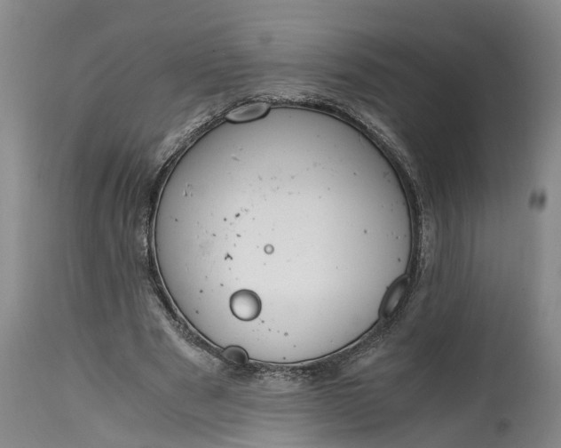 X0000115000489200911091401