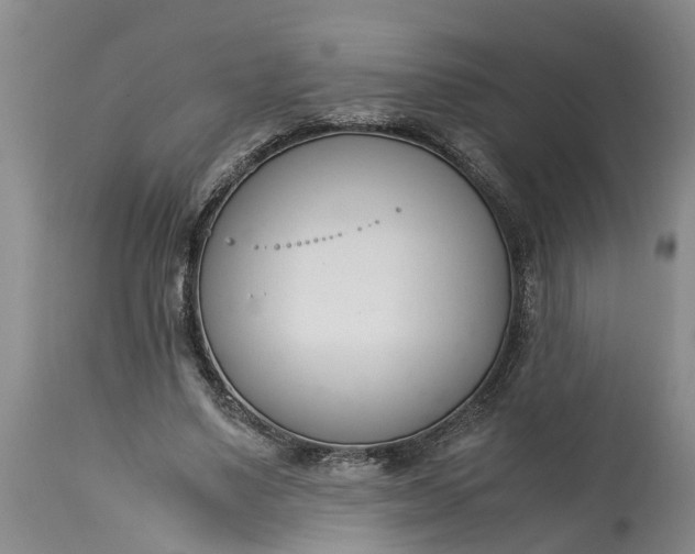 X0000115000491200911091401