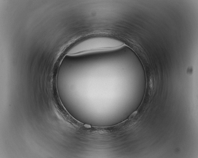 X0000115000492200911091401