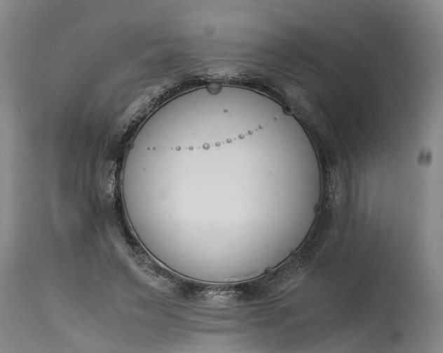X0000115000495200911091401