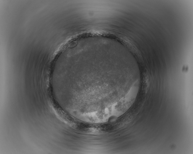 X0000115000496200911091401