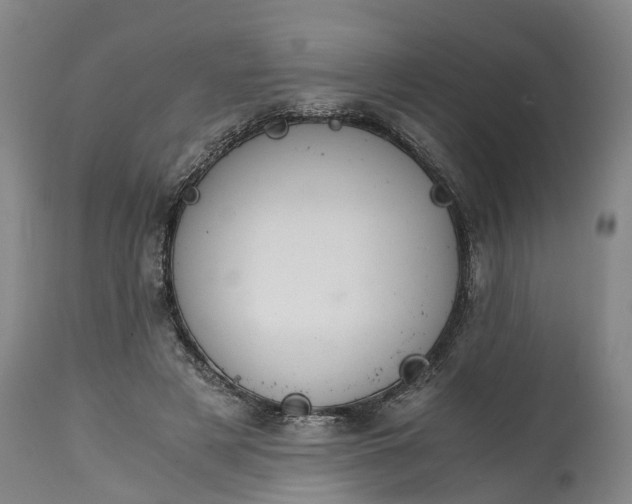 X0000115000497200911091401