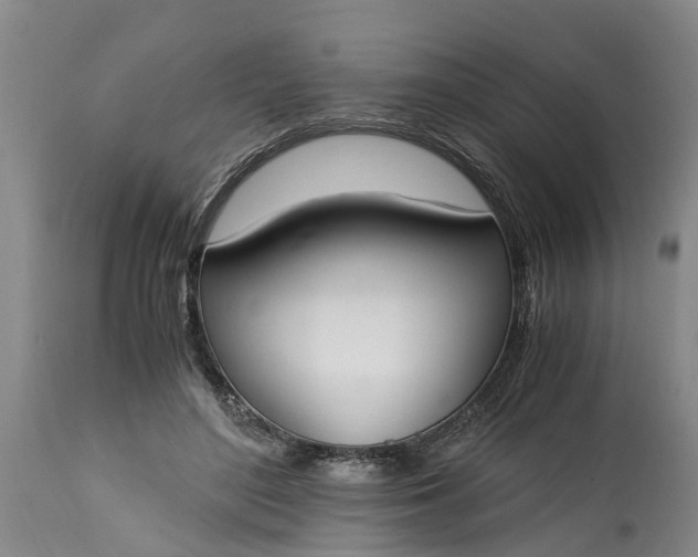 X0000115000500200911091401