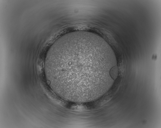 X0000115000503200911091401