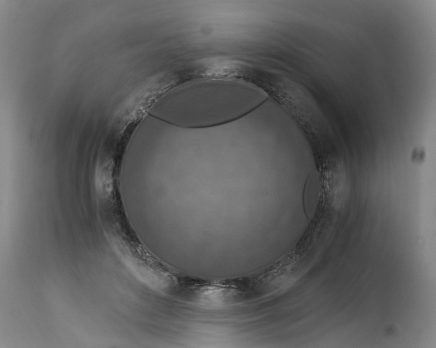 X0000115000504200911091401