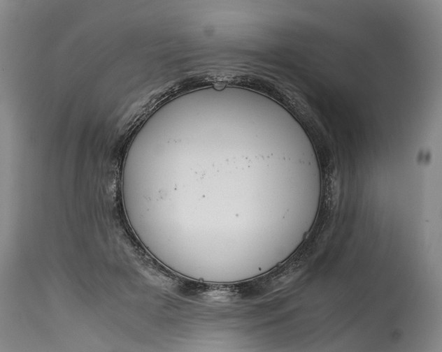 X0000115000505200911091401