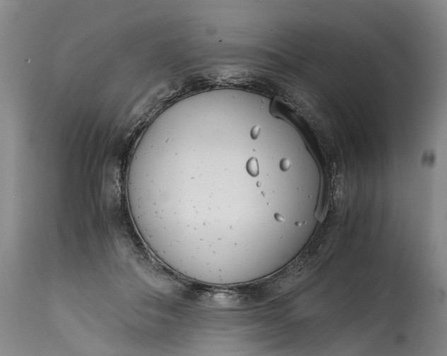 X0000115000506200911091401