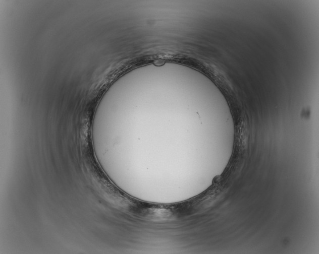 X0000115000509200911091401