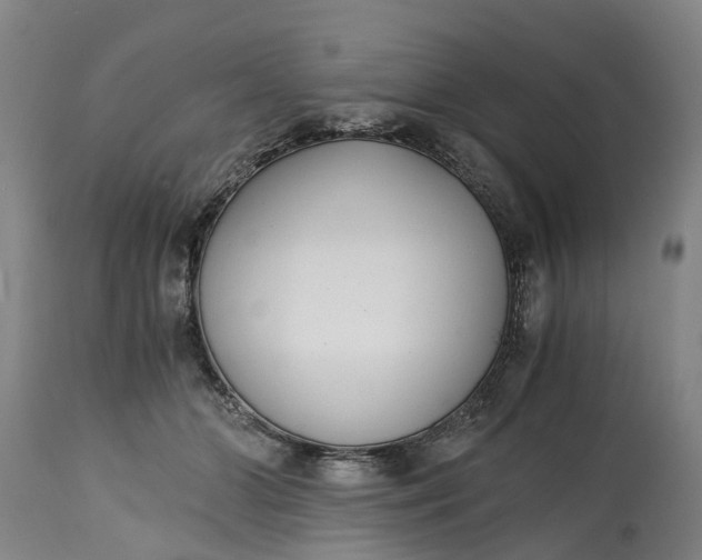 X0000115000510200911091401