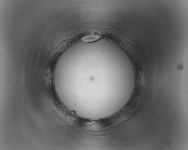 X0000115000511200911091401