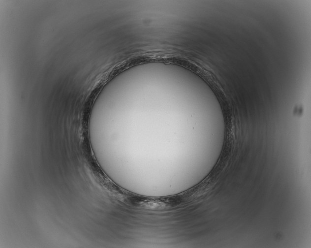 X0000115000512200911091401
