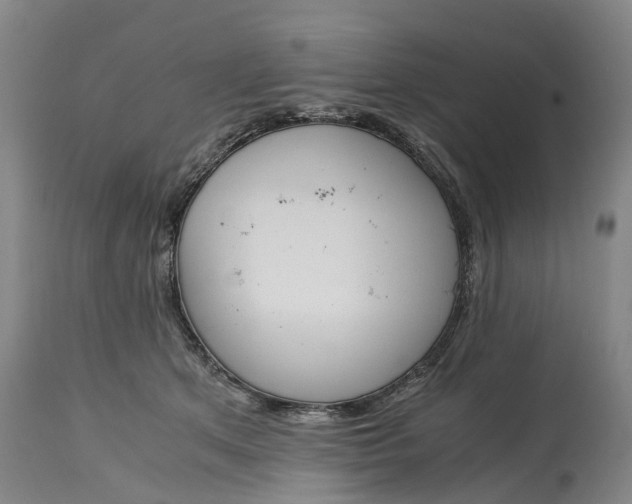 X0000115000513200911091401