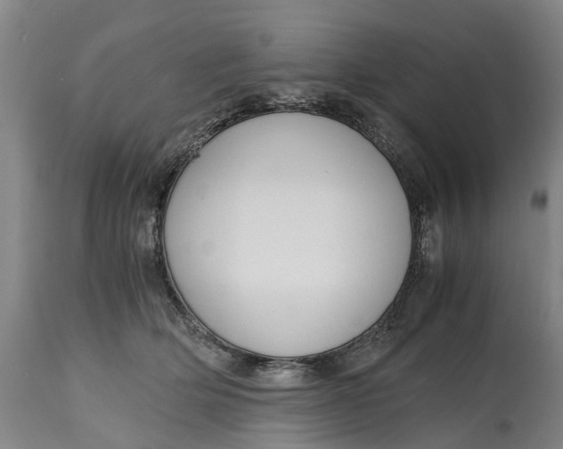X0000115000514200911091401
