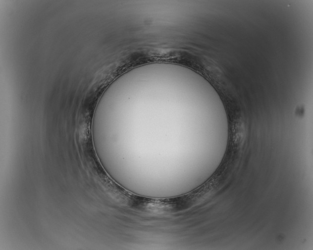 X0000115000515200911091401