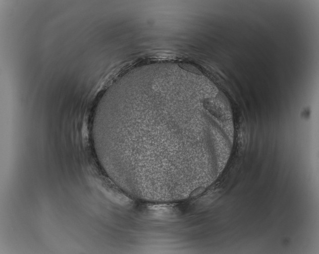 X0000115000516200911091401