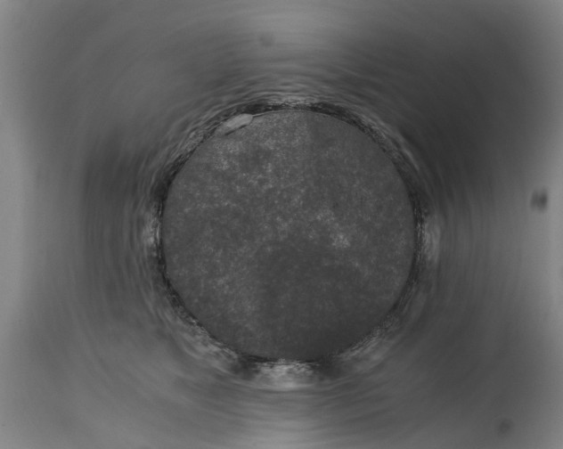 X0000115000517200911091401