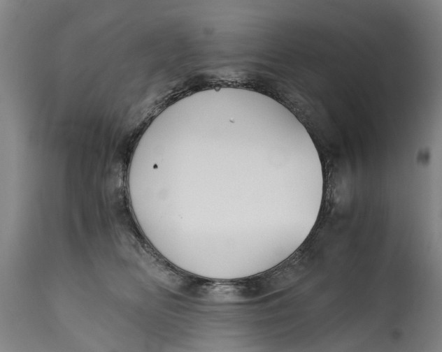 X0000115000518200911091401
