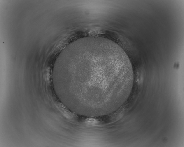 X0000115000519200911091401
