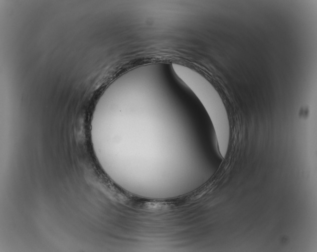 X0000115000520200911091401